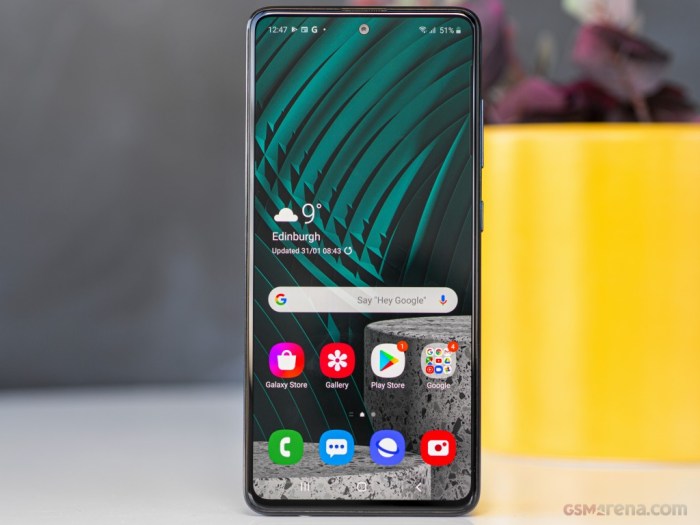 Samsung galaxy a 51